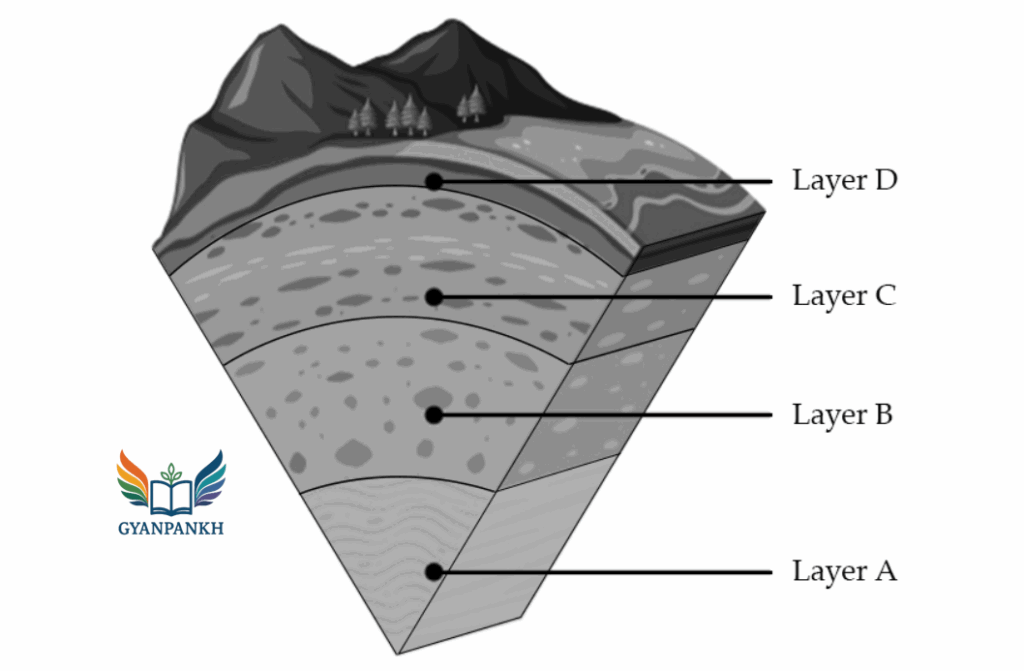 choose the layer of the Earth in which the mineral sample was found.